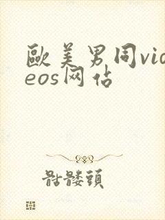 欧美男同videos网站