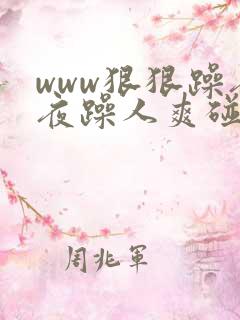 www狠狠躁夜夜躁人爽碰av