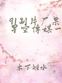 91制片厂果冻星空传媒一区