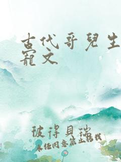 古代哥儿生子甜宠文