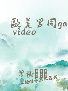 欧美男同gay video