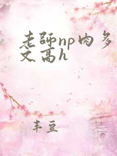 老师np肉多荤文高h