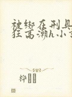 被绑在刑具上疯狂高潮h小说