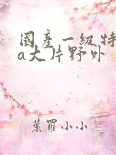 国产一级特黄aa大片野外