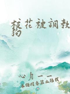 校花被调教成母狗