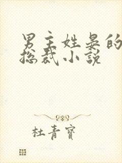 男主姓晏的霸道总裁小说