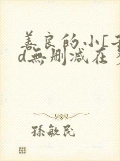 善良的小[子hd无删减在多少集