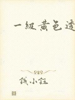 一级黄色透逼片