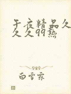 午夜精品久久久久久99热