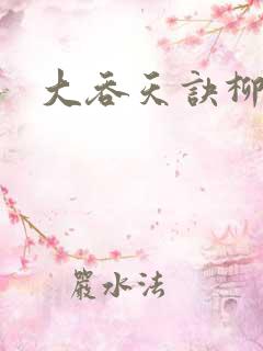 大吞天诀柳无邪