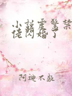 小说震惊禁欲大佬闪婚了