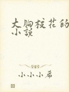 大胸校花的奶水小说