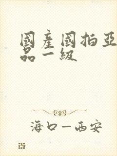 国产国拍亚洲精品一级