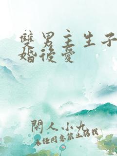 双男主生子文先婚后爱