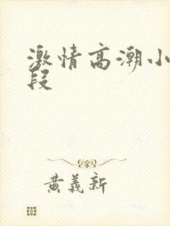 激情高潮小说片段