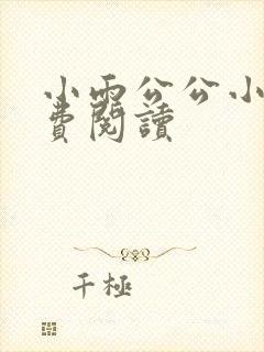 小雨公公小说免费阅读