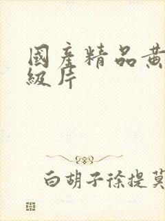 国产精品黄色一级片