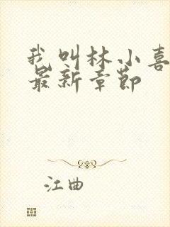 我叫林小喜17最新章节