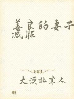 善良的妻子无删减版