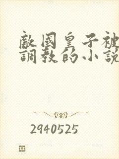 敌国皇子被净身调教的小说