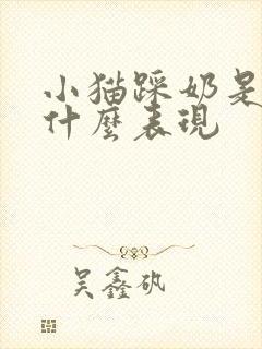 小猫踩奶是一种什么表现