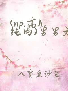 (np,高h,纯肉)男男文