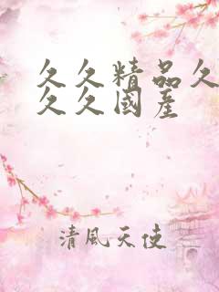 久久精品久久久久久国产