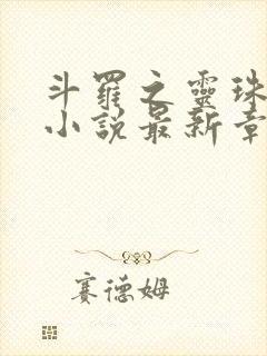 斗罗之灵珠神剑小说最新章下载