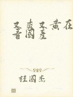 又爽又黄在线观看国产