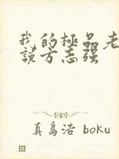 我的极品老婆小说方志强