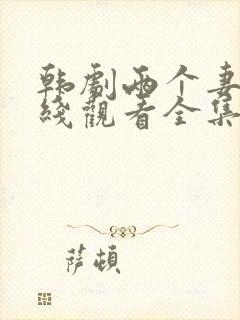 韩剧两个妻子在线观看全集免费