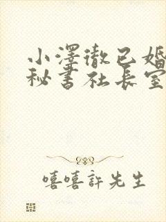 小泽彻已婚人妻秘书社长室