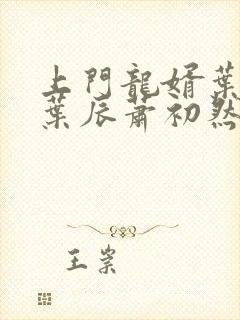 上门龙婿叶辰(叶辰萧初然)