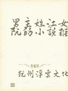 男主姓江女主姓阮的小说推荐