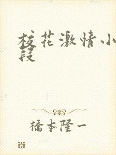 校花激情小说片段