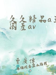 久久精品a亚洲国产av