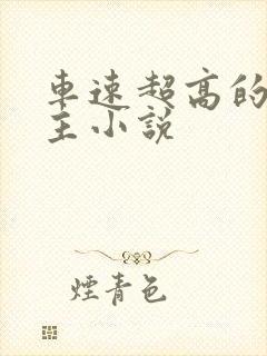 车速超高的双男主小说