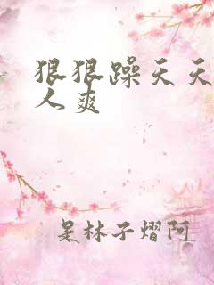 狠狠躁天天躁人人爽