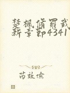 楚枫修罗武神最新章节4341