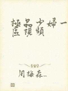 极品少妇一区二区视频