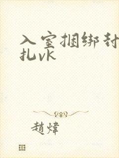 入室捆绑封嘴挣扎vk