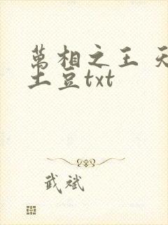万相之王 天蚕土豆txt