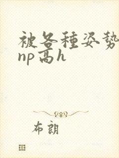 被各种姿势玩弄np高h