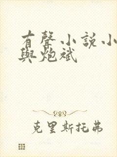 有声小说小仙儿与炮斌