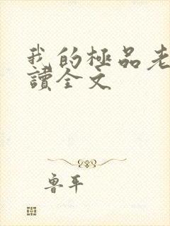 我的极品老婆阅读全文