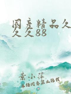 国产精品久久久久久88