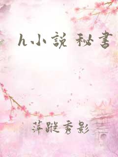 h小说 秘书