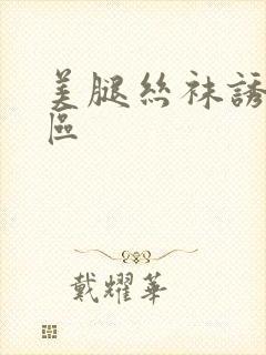 美腿丝袜诱惑一区