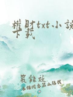 权财txt小说下载