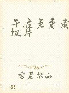 午夜免费黄色一级片